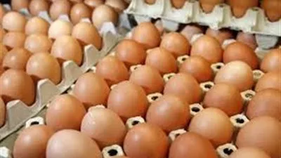 المدير الجهوي للتجارة بتوزر يرد على إشاعة ترويج كميات من البيض المر بالجهة 