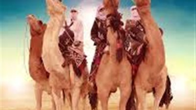 اختتام دورة تونس الدولية لسباقات المهاري الهجن في نسختها الثالثة