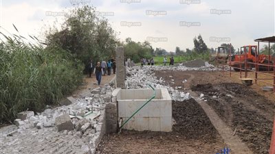 تفاصيل حملة الإزالة المكبرة للتعديات على الأراضي الزراعية بكفر الشيخ (صور)