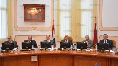 جامعة الفيوم تقرر إنشاء 