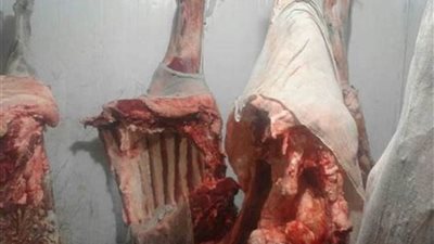  خلال شهر.. مصادرة 664 طن لحوم وأسماك فاسدة قبل ترويجها على المواطنين