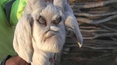 عائلة تخسر ثروتها في ليلة واحدة.. والسبب 