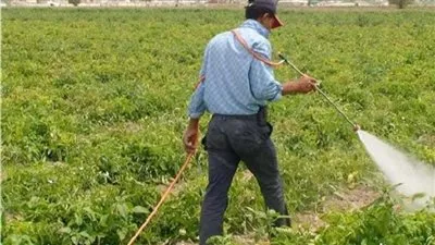 بسبب المبيدات.. تراجع صادرات مصر من الحاصلات الزراعية 