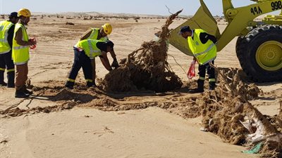 سبق - السعودية| 10 أيام من البحث عن 