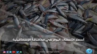 أسعار الأسماك اليوم الإثنين 10ـ 12 ـ 2018 في محافظة الإسماعيلية