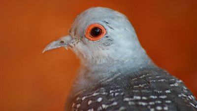 معلومات مفيدة حول 