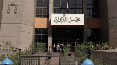 دعوى أمام مجلس الدولة تُطالب بتعديل فترات الترشح للرئاسة
