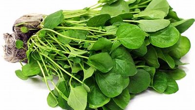 تعرف على فوائد الجرجير المذهلة للجسم 