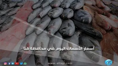 أسعار الأسماك اليوم السبت 15-12-2018 في محافظة قنا