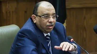 وزير التنمية المحلية: نعمل على قدم وساق لنشر ثقافة تمكين المرأة 