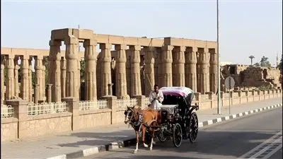 قرار بتقنين أوضاع أصحاب عربات الحنطور في الأقصر للحد من التلوث