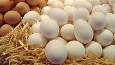 هل يقع الترفيع في سعر ''حارة'' البيض إلى دينار؟