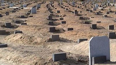 وفقا للمذاهب الأربعة.. تعرف على توقيت زيارة القبور