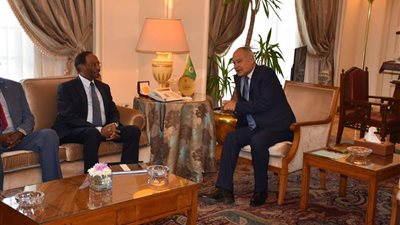 أبو الغيط ووزير مالية الصومال يناقشان سبل تعزيز الدعم العربي لخطط التنمية  