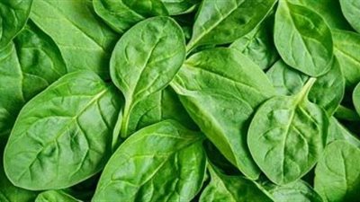 الخضروات الورقية.. العلاج الأمثل للتخلص من هذا المرض