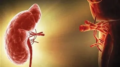 15 نصيحة يجب اتباعها قبل زراعة الكلى وبعدها