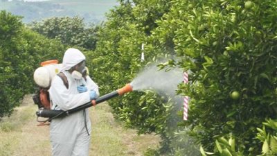 حملة بوزارة الشؤون البلدية والقروية لمكافحة أفات الصحة