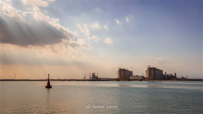 ميناء دمياط يستقبل ١١ سفينة في ٢٤ ساعة 