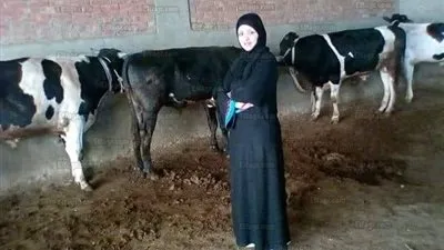 الجزارة الكيوت رزق.. 