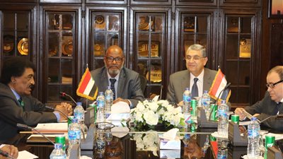  وزير الكهرباء يلتقى نظيره السودانى لبحث التعاون بين البلدين   