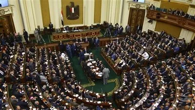 9 اختصاصات لقانون المجلس القومي للأشخاص ذوي الإعاقة (تعرف عليها)