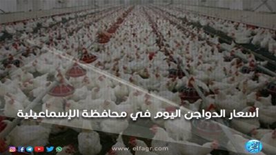 أسعار الدواجن اليوم الأحد 30 ـ 12 ـ 2018 في محافظة الإسماعيلية