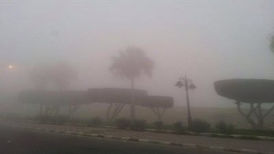 ضباب كثيف على الطائف والمرور يحذر
