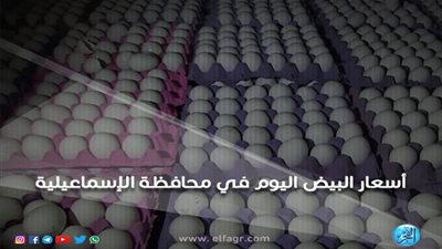 أسعار البيض اليوم الثلاثاء 1 ـ 1 ـ 2019 في محافظة الإسماعيلية
