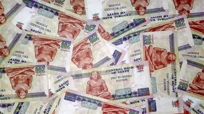 بدء صرف معاشات شهر يناير اليوم بمناسبة 