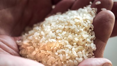 رئيس الشعبة: تراجع أسعار الأرز بنسبة ١٥٪؜ خلال الفترة المقبلة
