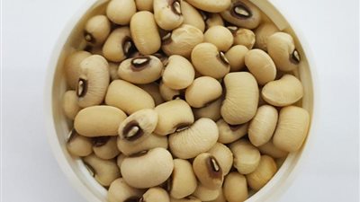 تعرف على فوائد 