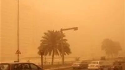 في الأجواء العاصفة.. روشتة غذائية تحميك من أضرار الآتربة