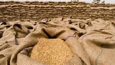 تونس تطرح مناقصة لشراء 100 ألف طن من القمح 