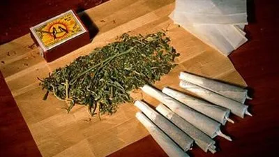 برلماني: مصر من أكثر الدول العربية والإفريقية استهلاكًا لـ