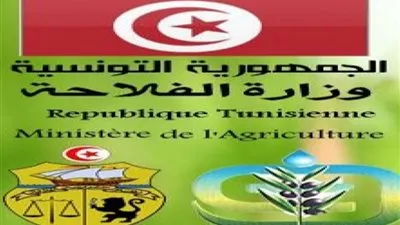 وزارة الفلاحة توفر كميات من حطب الوقود للتدفئة لفائدة ولايات الشمال الغربي