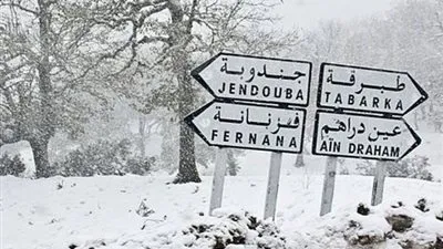 عين دراهم : تساقط متواصل للثلوج و نقص مادة الحطب يؤرق الاهالي