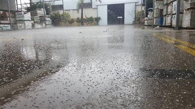 سقوط ثلوج في غرب الإسكندرية (صور)