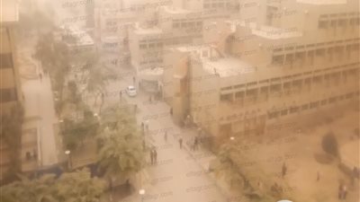 عاصفة ترابية تغطي جامعة حلوان (فيديو) 