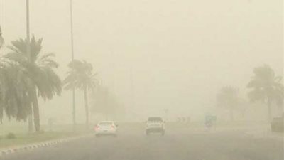 نصائح مهمة جدا لمرضى الجيوب الأنفية خلال العاصفة الترابية (فيديو)