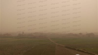 الشبورة تعدم الرؤية بطريق قليوب إسكندرية الزراعي 