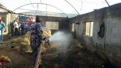 دفاية تتسبب في نفوق 8 آلاف و500 دجاجة في  حريق مزرعة بالفيوم 