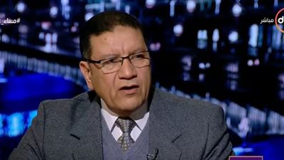 مدير البرنامج القومي لحماية الأطفال بلا مأوى: وزارة التضامن تحاول حماية الفئات الضعيفة