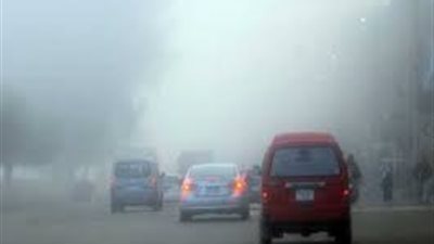 تحذير.. شبورة كثيفة على طرق محافظة الإسماعيلية الرئيسية