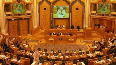 عضو بالشورى ينتقد سرقة مديري الشركات لأفكار الموظفين