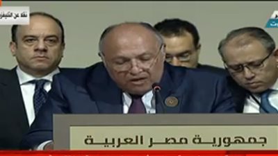 سامح شكري: قضية تمويل التنمية أحد المعضلات التي تواجه الدول العربية