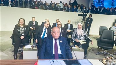 سامح شكري يؤكد على أهمية العمل المُشترك لتحقيق التنمية العربية