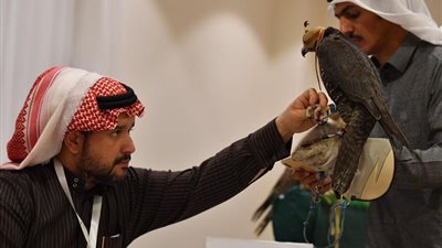 مهرجان الملك عبدالعزيز للصقور يعلن انتهاء التسجيل في 