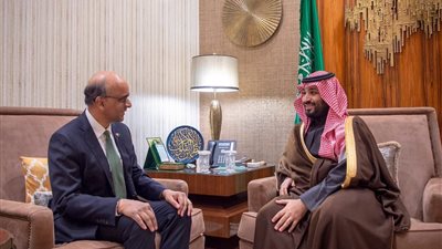 محمد بن سلمان يلتقي نائب رئيس وزراء سنغافورة