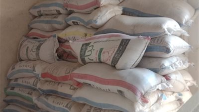 خلال حملات تموينية.. ضبط 80 قضية مخالفة في الجيزة