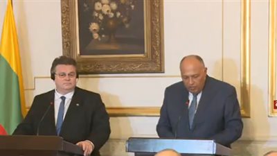 وزير الخارجية: إنشاء مجلس أعمال مصري - ليتواني لدفع التعاون التجاري بين البلدين